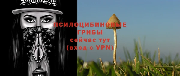 мескалин Гусь-Хрустальный