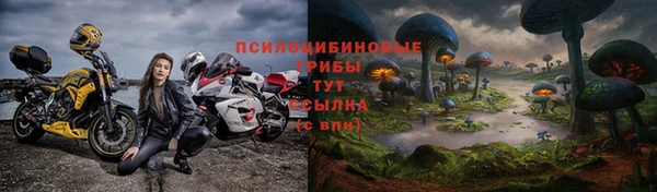 меф Горнозаводск