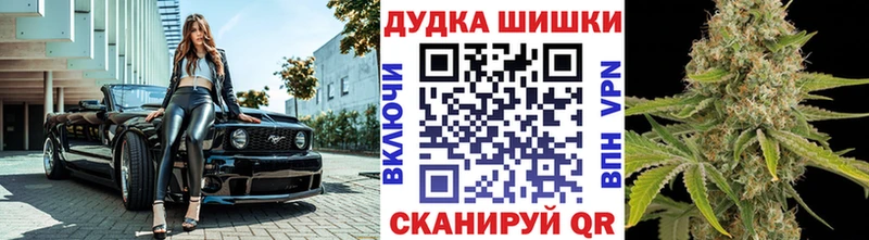 Марихуана планчик блэк спрут зеркало Донской где купить
